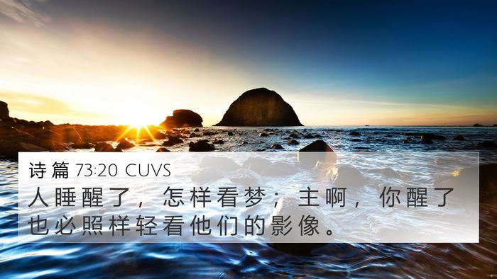 诗 篇 73:20 CUVS Bible Verse Image