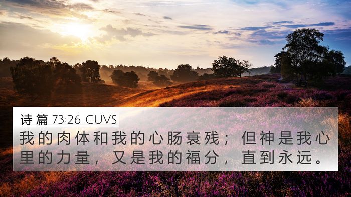 诗 篇 73:26 CUVS Bible Verse Image