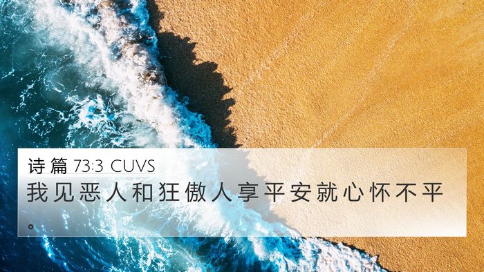 诗 篇 73:3 CUVS Bible Verse Image