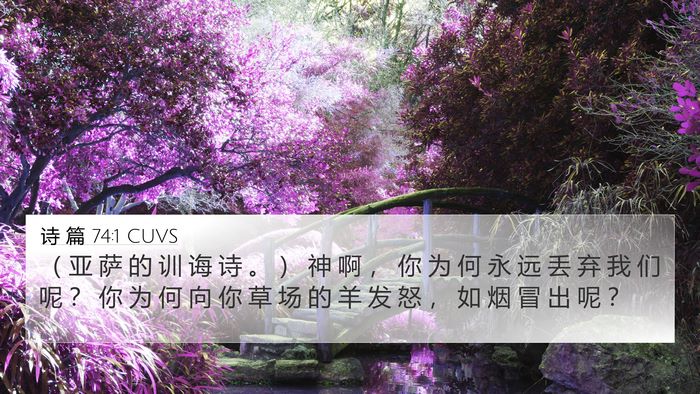 诗 篇 74:1 CUVS Bible Verse Image