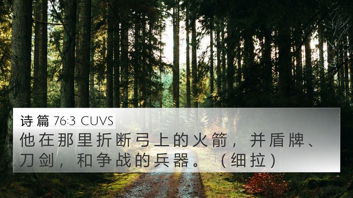 诗 篇 76:3 CUVS Bible Verse Image