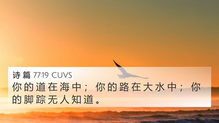 诗 篇 77:19 CUVS Bible Verse Image