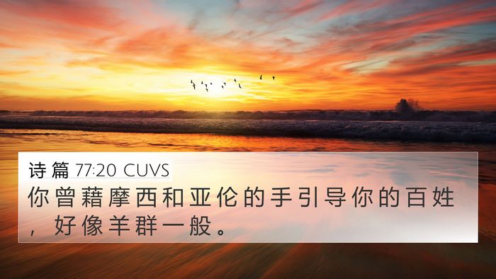 诗 篇 77:20 CUVS Bible Verse Image