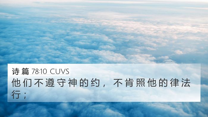 诗 篇 78:10 CUVS Bible Verse Image