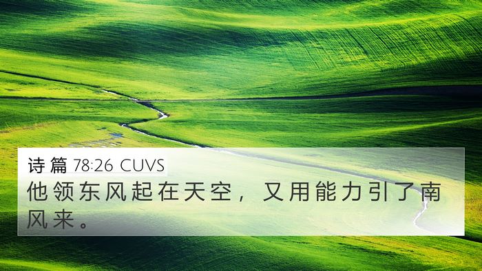 诗 篇 78:26 CUVS Bible Verse Image