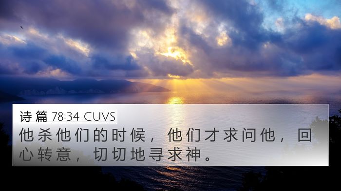 诗 篇 78:34 CUVS Bible Verse Image