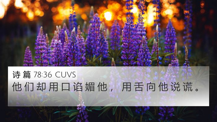 诗 篇 78:36 CUVS Bible Verse Image