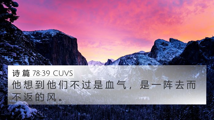 诗 篇 78:39 CUVS 4K Wallpaper - 他 想 到 他 们 不 过 是 血 气 ， 是 - 4K Wallpaper Bible Verse