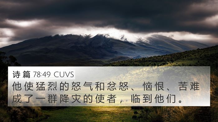 诗 篇 78:49 CUVS Bible Verse Image
