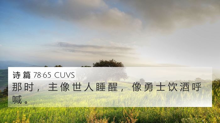 诗 篇 78:65 CUVS Bible Verse Image