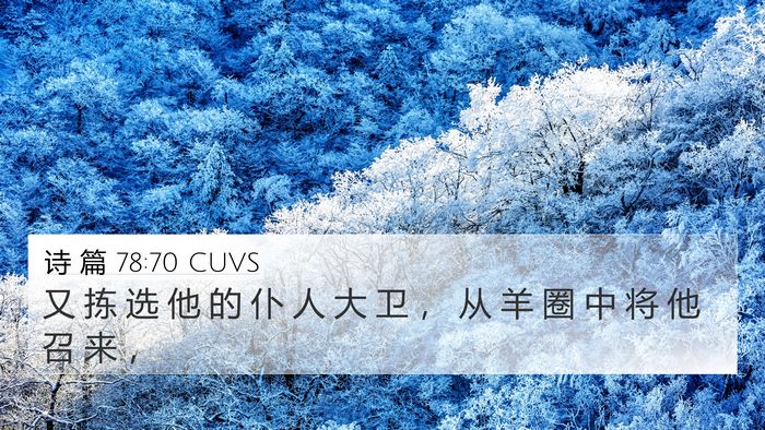 诗 篇 78:70 CUVS Bible Verse Image