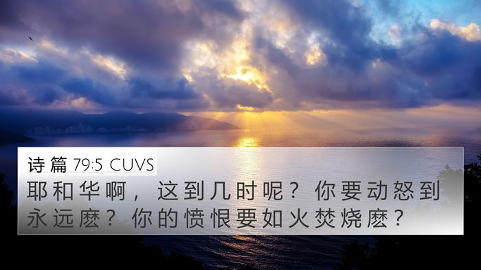 诗 篇 79:5 CUVS Bible Verse Image
