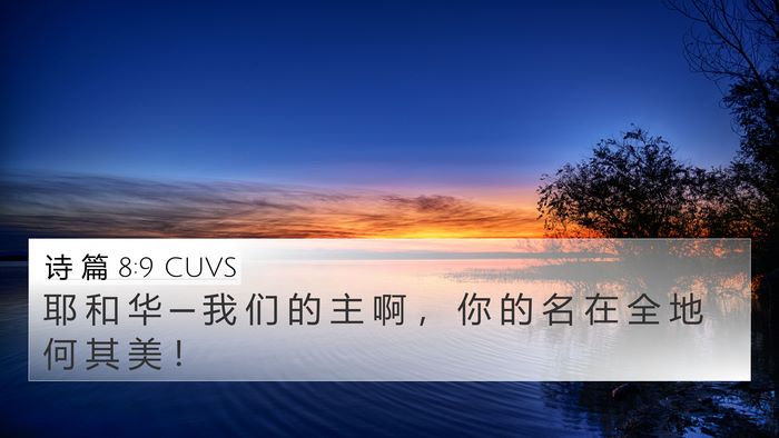 诗 篇 8:9 CUVS Bible Verse Image