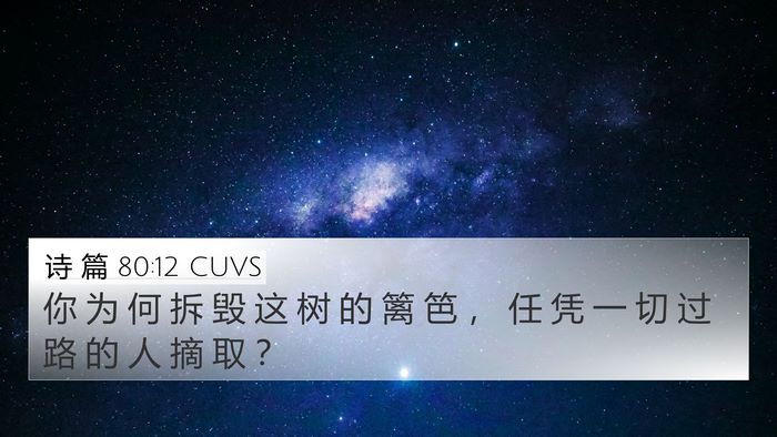 诗 篇 80:12 CUVS Bible Verse Image