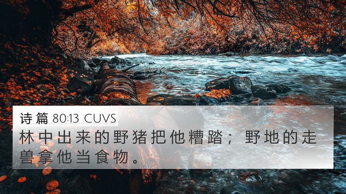 诗 篇 80:13 CUVS Bible Verse Image