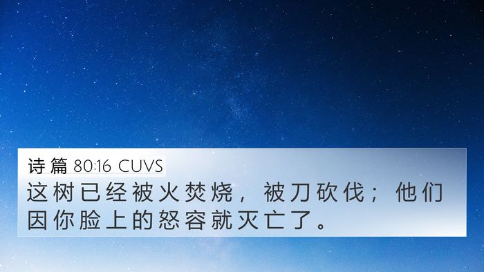诗 篇 80:16 CUVS Bible Verse Image