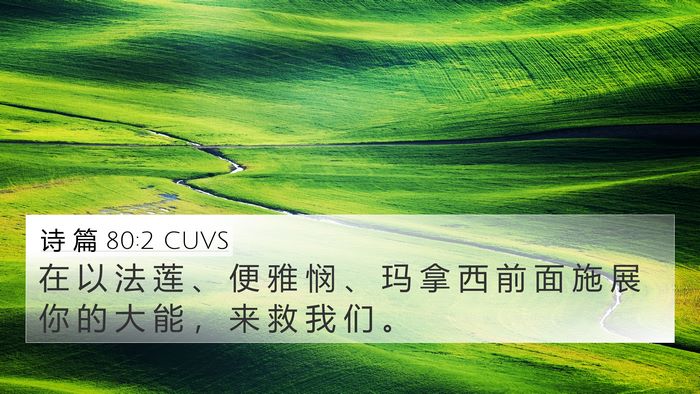 诗 篇 80:2 CUVS Bible Verse Image