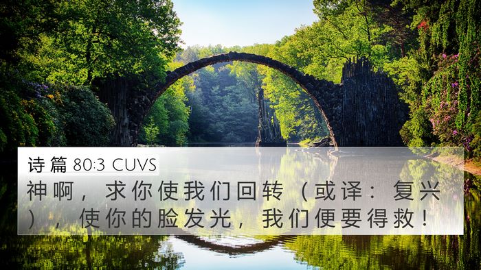 诗 篇 80:3 CUVS Bible Verse Image