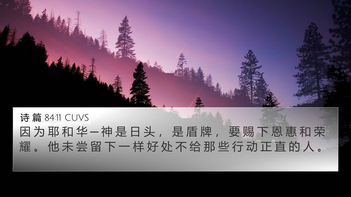 诗 篇 84:11 CUVS Bible Verse Image