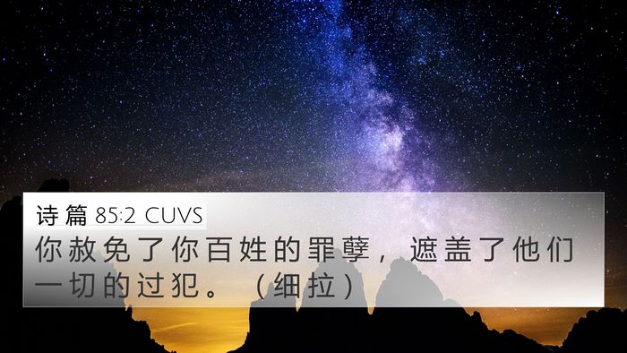 诗 篇 85:2 CUVS Bible Verse Image