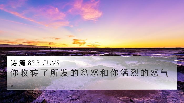 诗 篇 85:3 CUVS Bible Verse Image