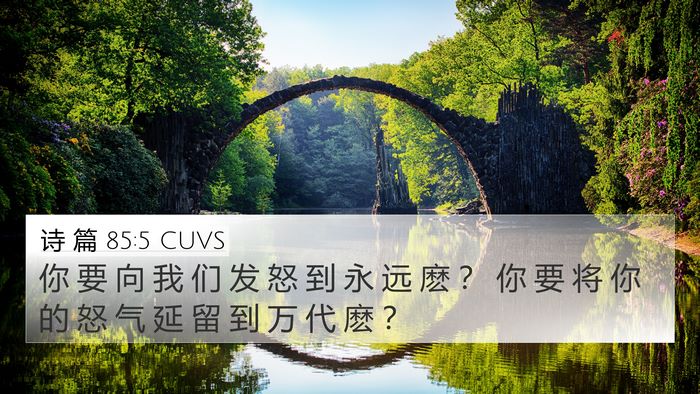 诗 篇 85:5 CUVS Bible Verse Image