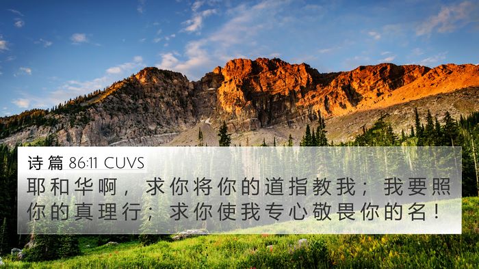 诗 篇 86:11 CUVS Bible Verse Image