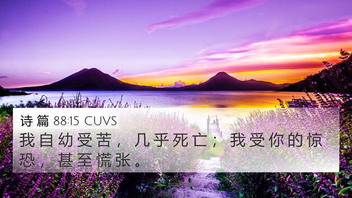 诗 篇 88:15 CUVS Bible Verse Image