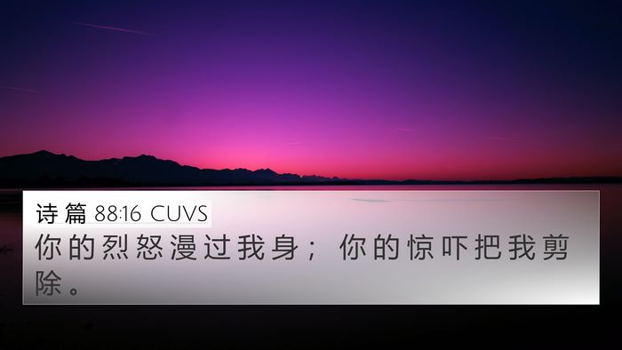 诗 篇 88:16 CUVS Bible Verse Image