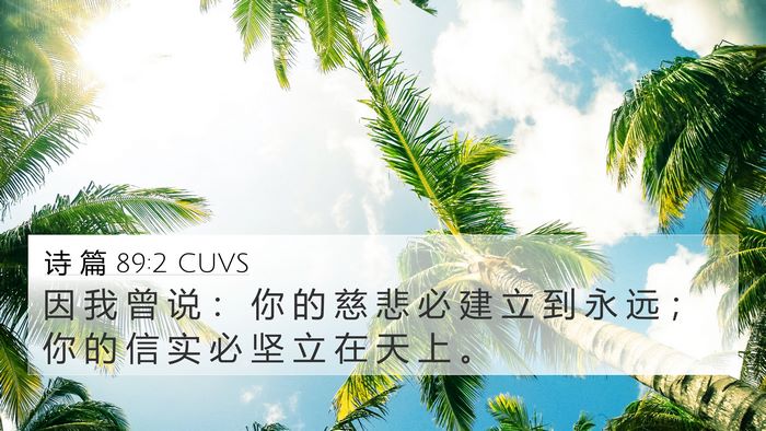 诗 篇 89:2 CUVS Bible Verse Image