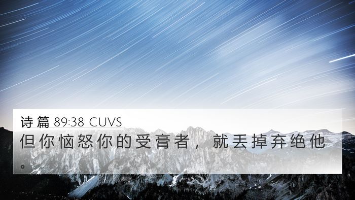 诗 篇 89:38 CUVS Bible Verse Image