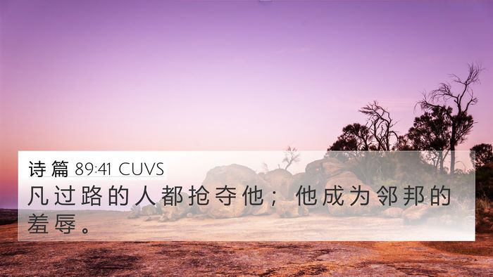诗 篇 89:41 CUVS Bible Verse Image