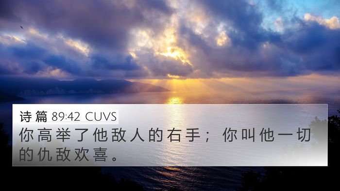 诗 篇 89:42 CUVS Bible Verse Image