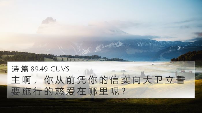 诗 篇 89:49 CUVS Bible Verse Image