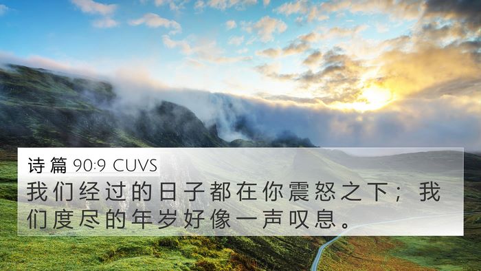诗 篇 90:9 CUVS Bible Verse Image