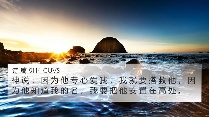 诗 篇 91:14 CUVS Bible Verse Image