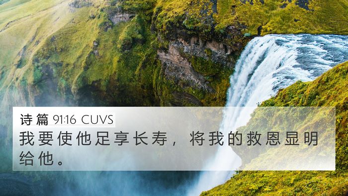 诗 篇 91:16 CUVS Bible Verse Image