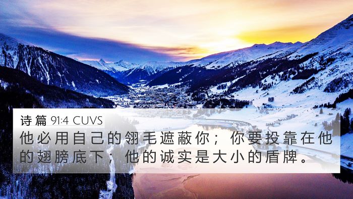 诗 篇 91:4 CUVS Bible Verse Image
