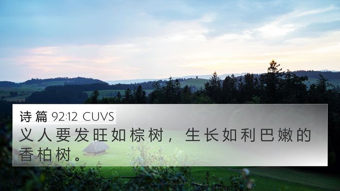 诗 篇 92:12 CUVS Bible Verse Image