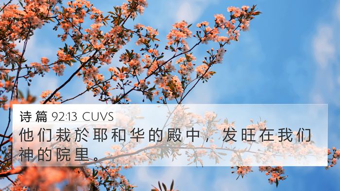 诗 篇 92:13 CUVS Bible Verse Image