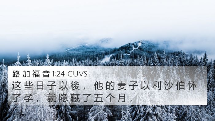 路 加 福 音 1:24 CUVS 4K Wallpaper - 这 些 日 子 以 後 ， 他 的 妻 子 以 - 4K Wallpaper Bible Verse