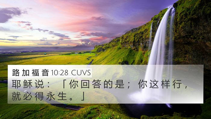 路 加 福 音 10:28 CUVS Bible Verse Image