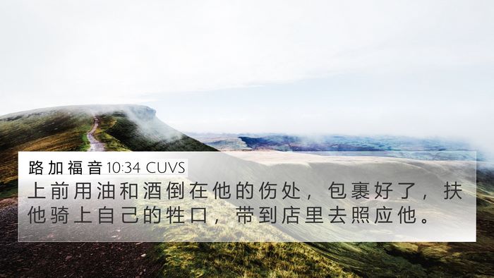 路 加 福 音 10:34 CUVS 4K Wallpaper - 上 前 用 油 和 酒 倒 在 他 的 伤 处 - 4K Wallpaper Bible Verse