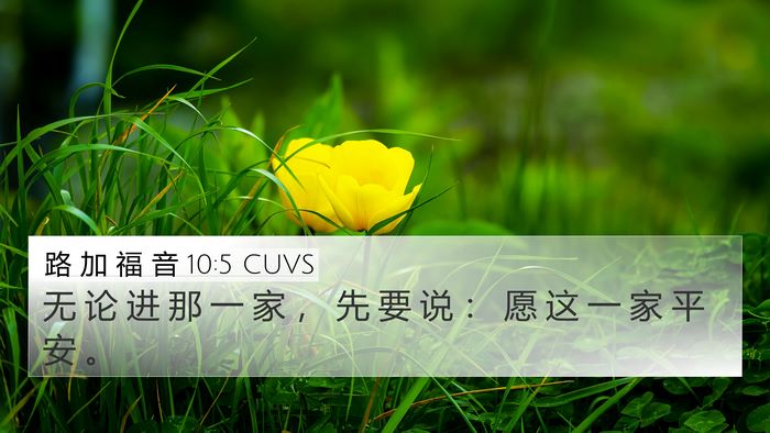路 加 福 音 10:5 CUVS 4K Wallpaper - 无 论 进 那 一 家 ， 先 要 说 ： 愿 - 4K Wallpaper Bible Verse