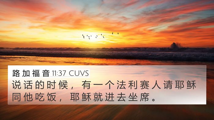 路 加 福 音 11:37 CUVS Bible Verse Image