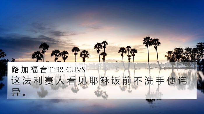 路 加 福 音 11:38 CUVS Bible Verse Image