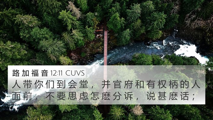 路 加 福 音 12:11 CUVS Bible Verse Image