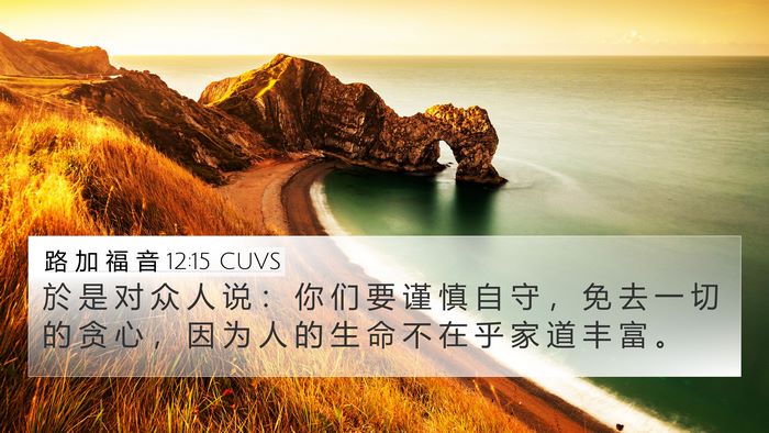 路 加 福 音 12:15 CUVS Bible Verse Image