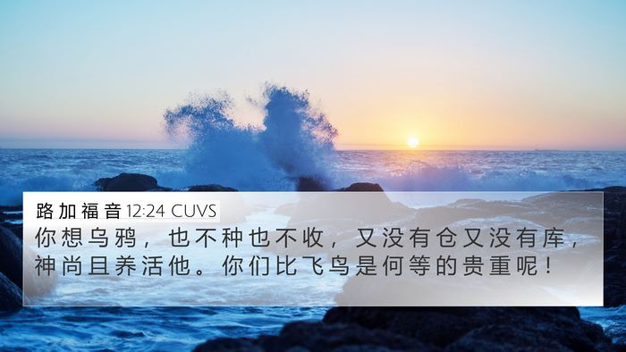 路 加 福 音 12:24 CUVS Bible Verse Image