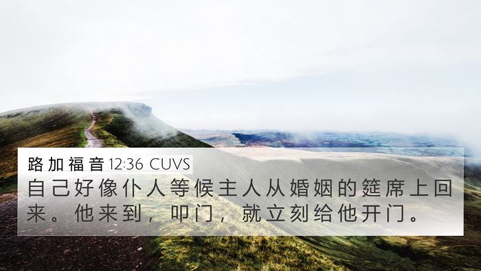 路 加 福 音 12:36 CUVS 4K Wallpaper - 自 己 好 像 仆 人 等 候 主 人 从 婚 - 4K Wallpaper Bible Verse